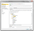 PrjSettings RuntimeEnvironment.png